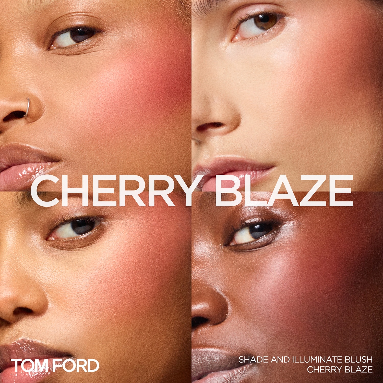 SHADE AND ILLUMINATE BLUSH (DUO DE RUBOR EN POLVO)